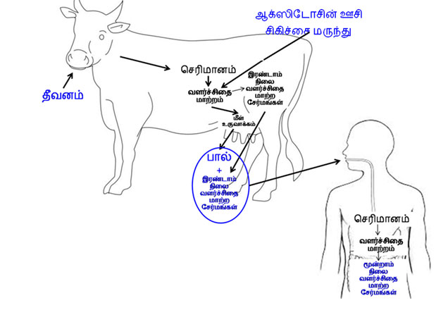 Oxytocin milk