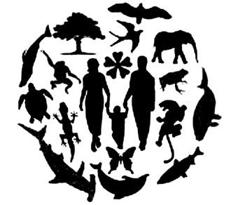 biodiversity