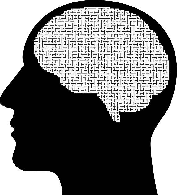 brain clipart