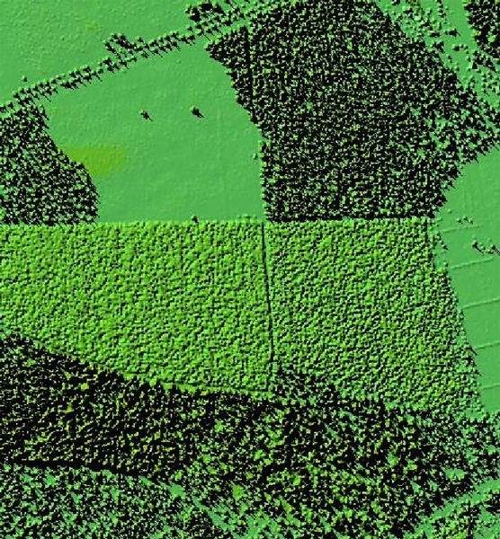 lidar image