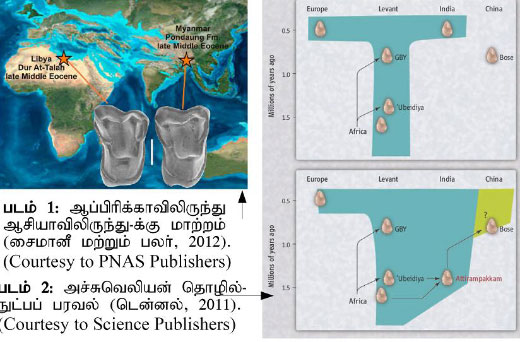 motherkai-_-Map-_-Figure1_-