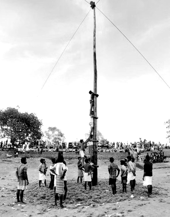 vazhukku maram