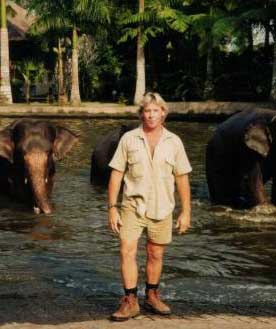 Steve Irwin