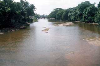 Cauvery River