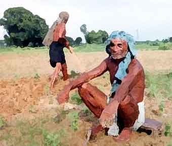 Indian farmer