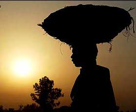 Indian Farmer