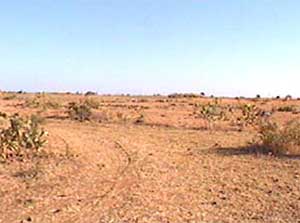 Land