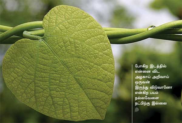 Arivumathi
