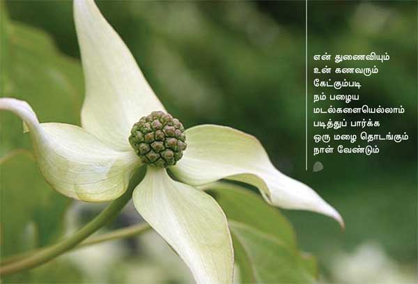 Arivumathi