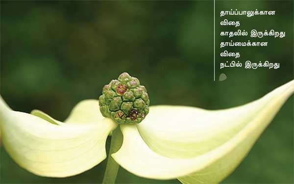 Arivumathi