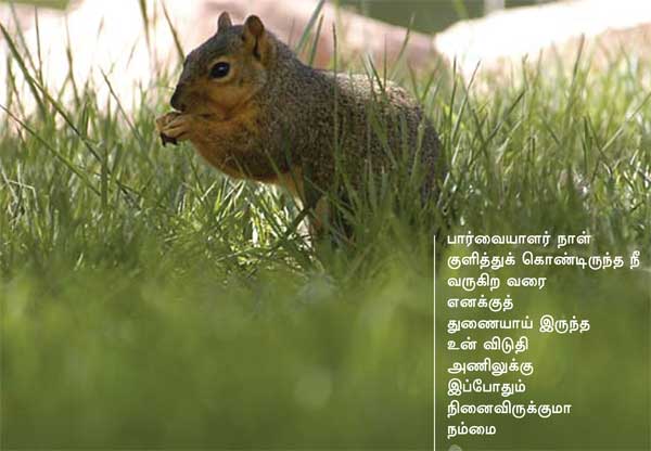 Arivumathi