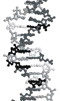 DNA