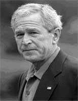 bush