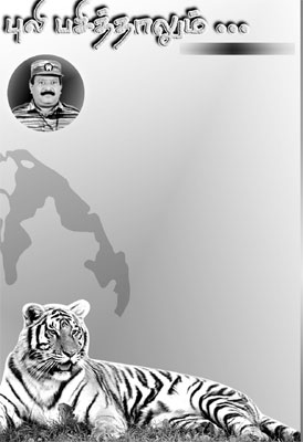 tiger