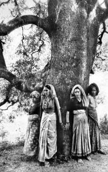 Chipko